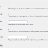 Downloadable Products WooCommerce